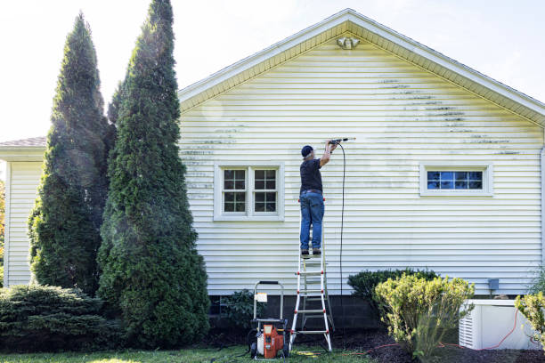 Best Dumpster Area Cleaning  in Frankenmuth, MI